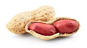بادام زمینی تازه و مقوی برای کودکان و بزرگسالان